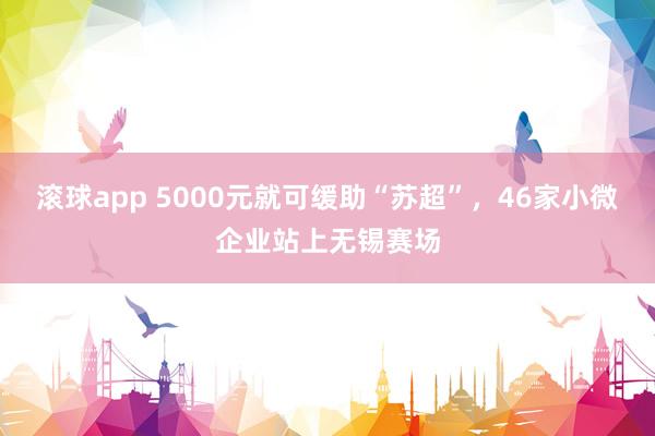 滚球app 5000元就可缓助“苏超”，46家小微企业站上无锡赛场