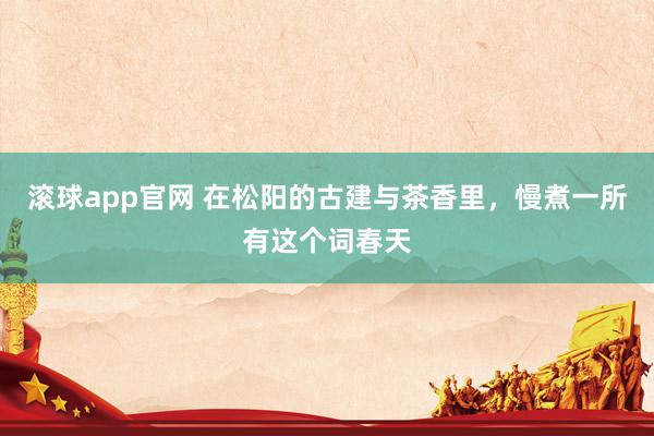 滚球app官网 在松阳的古建与茶香里，慢煮一所有这个词春天