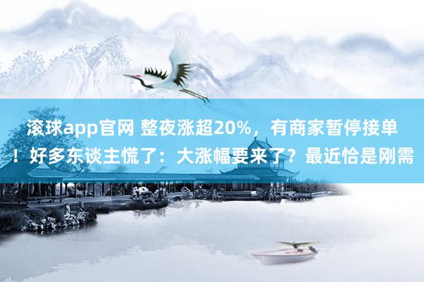 滚球app官网 整夜涨超20%，有商家暂停接单！好多东谈主慌了：大涨幅要来了？最近恰是刚需