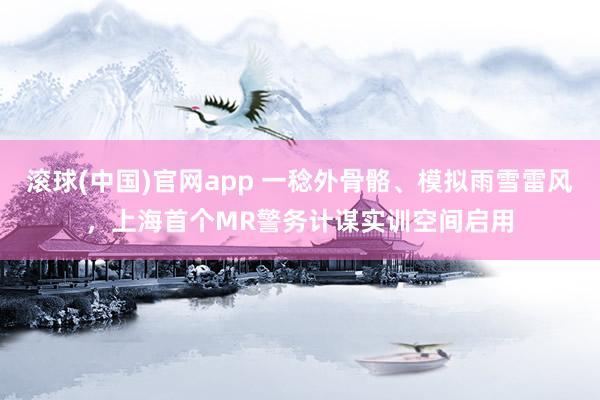 滚球(中国)官网app 一稔外骨骼、模拟雨雪雷风，上海首个MR警务计谋实训空间启用