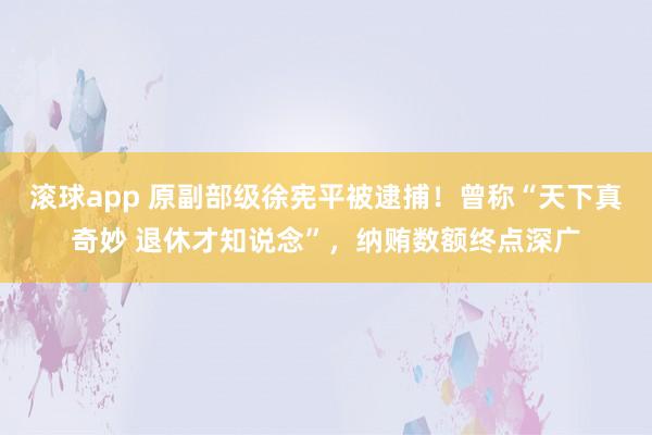 滚球app 原副部级徐宪平被逮捕！曾称“天下真奇妙 退休才知说念”，纳贿数额终点深广