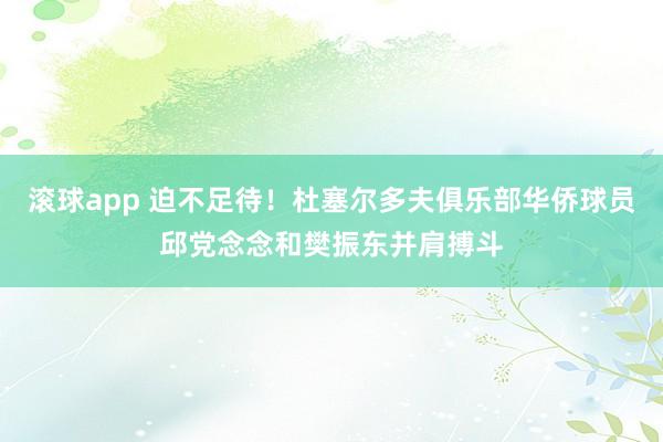 滚球app 迫不足待！杜塞尔多夫俱乐部华侨球员邱党念念和樊振东并肩搏斗