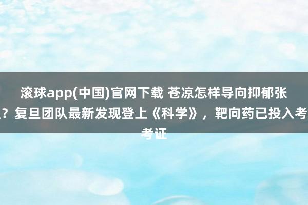 滚球app(中国)官网下载 苍凉怎样导向抑郁张惶？复旦团队最新发现登上《科学》，靶向药已投入考证