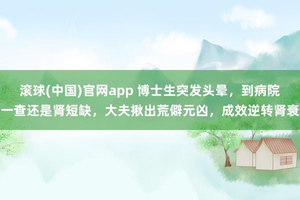 滚球(中国)官网app 博士生突发头晕，到病院一查还是肾短缺，大夫揪出荒僻元凶，成效逆转肾衰