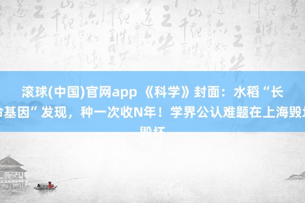 滚球(中国)官网app 《科学》封面：水稻“长命基因”发现，种一次收N年！学界公认难题在上海毁坏