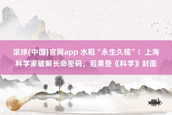 滚球(中国)官网app 水稻“永生久视”！上海科学家破解长命密码，后果登《科学》封面