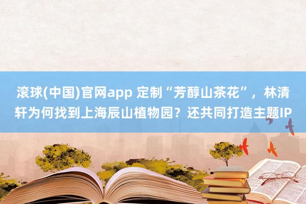 滚球(中国)官网app 定制“芳醇山茶花”，林清轩为何找到上海辰山植物园？还共同打造主题IP