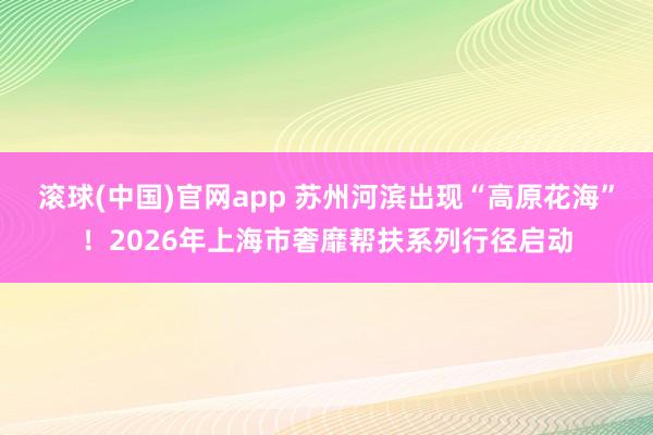 滚球(中国)官网app 苏州河滨出现“高原花海”！2026年上海市奢靡帮扶系列行径启动