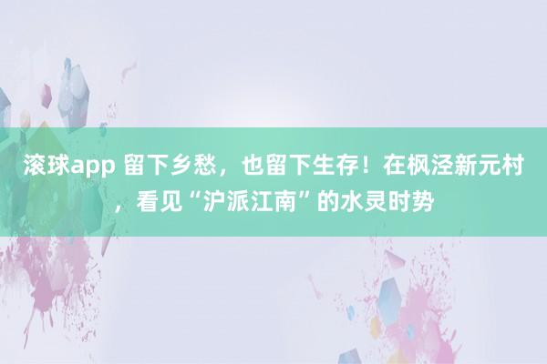 滚球app 留下乡愁，也留下生存！在枫泾新元村，看见“沪派江南”的水灵时势