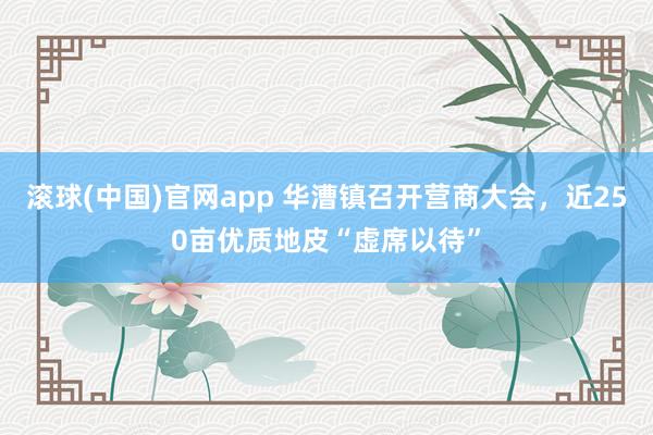 滚球(中国)官网app 华漕镇召开营商大会，近250亩优质地皮“虚席以待”