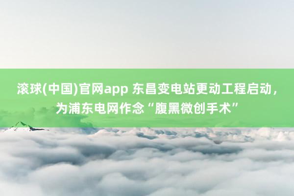 滚球(中国)官网app 东昌变电站更动工程启动，为浦东电网作念“腹黑微创手术”