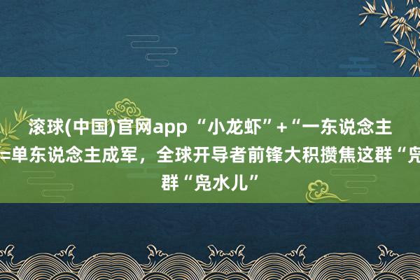 滚球(中国)官网app “小龙虾”+“一东说念主公司”=单东说念主成军，全球开导者前锋大积攒焦这群“凫水儿”