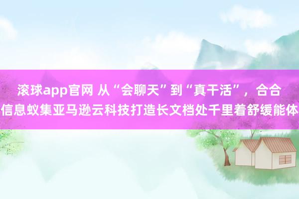 滚球app官网 从“会聊天”到“真干活”，合合信息蚁集亚马逊云科技打造长文档处千里着舒缓能体
