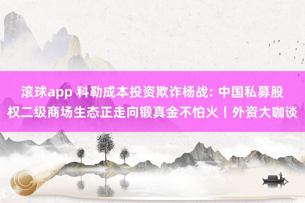 滚球app 科勒成本投资欺诈杨战: 中国私募股权二级商场生态正走向锻真金不怕火丨外资大咖谈