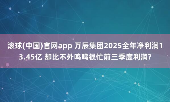 滚球(中国)官网app 万辰集团2025全年净利润13.45亿 却比不外鸣鸣很忙前三季度利润?