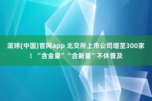 滚球(中国)官网app 北交所上市公司增至300家！“含金量”“含新量”不休普及