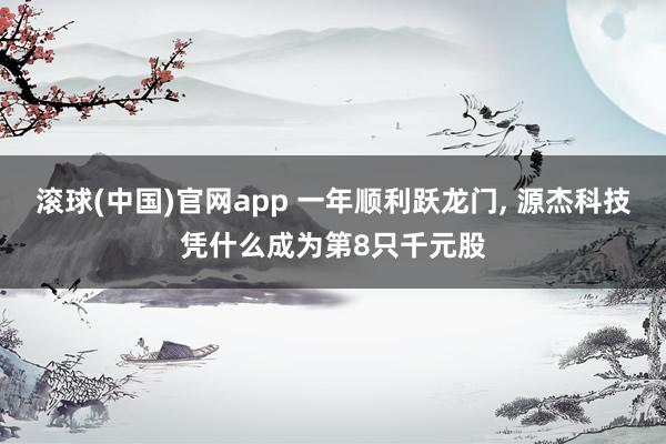 滚球(中国)官网app 一年顺利跃龙门, 源杰科技凭什么成为第8只千元股