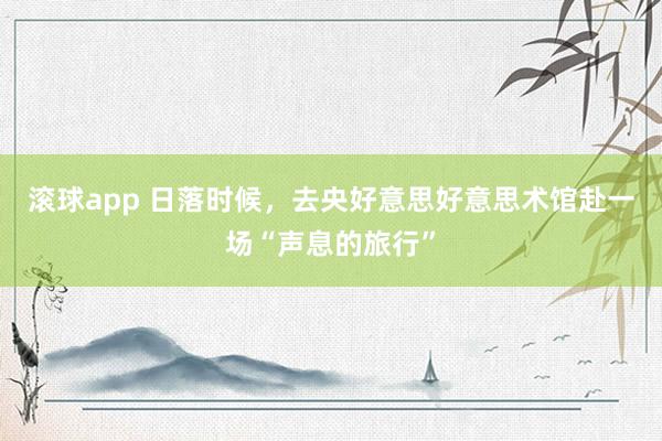 滚球app 日落时候，去央好意思好意思术馆赴一场“声息的旅行”