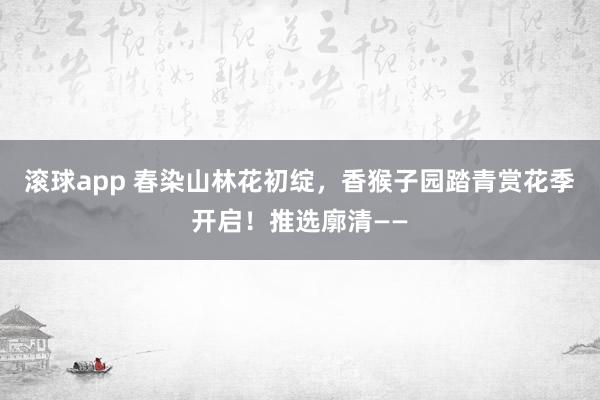 滚球app 春染山林花初绽，香猴子园踏青赏花季开启！推选廓清——