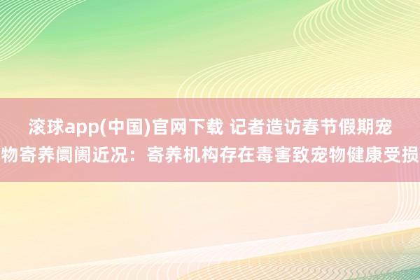 滚球app(中国)官网下载 记者造访春节假期宠物寄养阛阓近况：寄养机构存在毒害致宠物健康受损