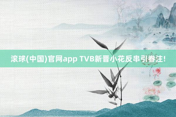 滚球(中国)官网app TVB新晋小花反串引眷注!