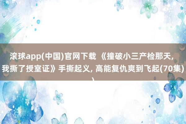 滚球app(中国)官网下载 《撞破小三产检那天, 我撕了授室证》手撕起义, 高能复仇爽到飞起(70集)