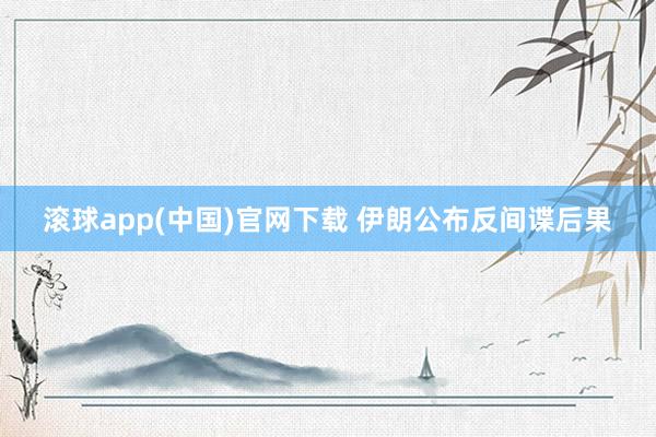 滚球app(中国)官网下载 伊朗公布反间谍后果