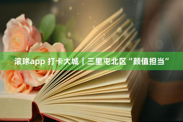 滚球app 打卡大城｜三里屯北区“颜值担当”
