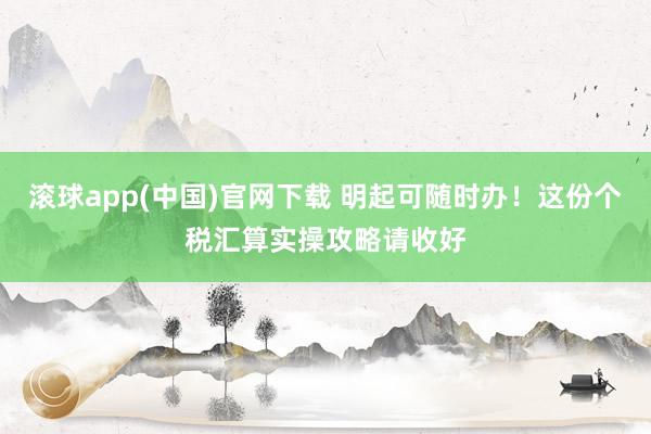滚球app(中国)官网下载 明起可随时办！这份个税汇算实操攻略请收好