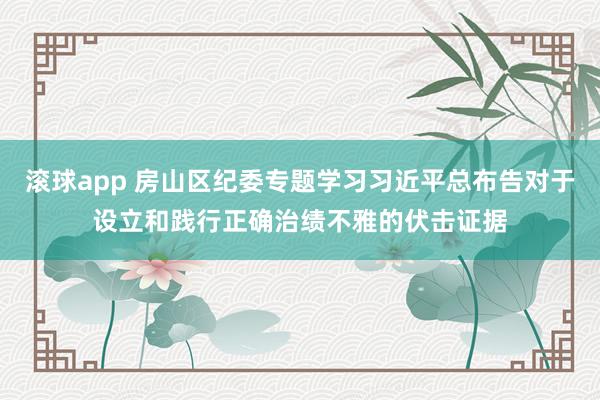 滚球app 房山区纪委专题学习习近平总布告对于设立和践行正确治绩不雅的伏击证据