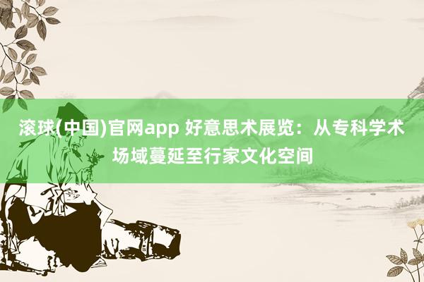 滚球(中国)官网app 好意思术展览：从专科学术场域蔓延至行家文化空间