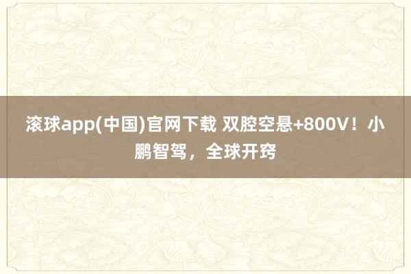 滚球app(中国)官网下载 双腔空悬+800V！小鹏智驾，全球开窍