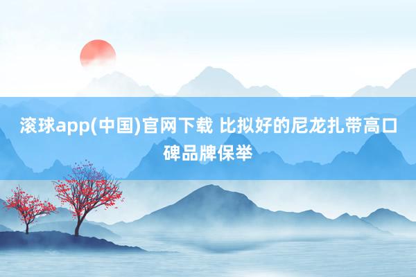 滚球app(中国)官网下载 比拟好的尼龙扎带高口碑品牌保举