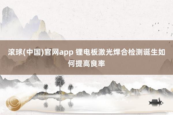 滚球(中国)官网app 锂电板激光焊合检测诞生如何提高良率