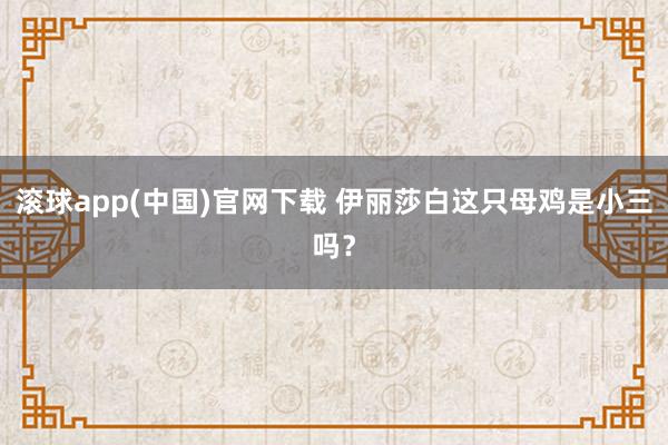 滚球app(中国)官网下载 伊丽莎白这只母鸡是小三吗？