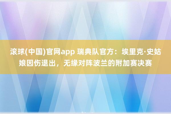 滚球(中国)官网app 瑞典队官方：埃里克·史姑娘因伤退出，无缘对阵波兰的附加赛决赛