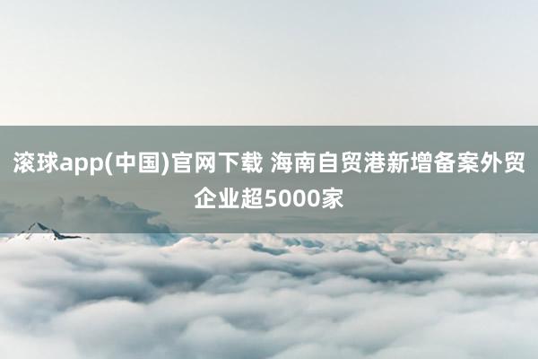 滚球app(中国)官网下载 海南自贸港新增备案外贸企业超5000家