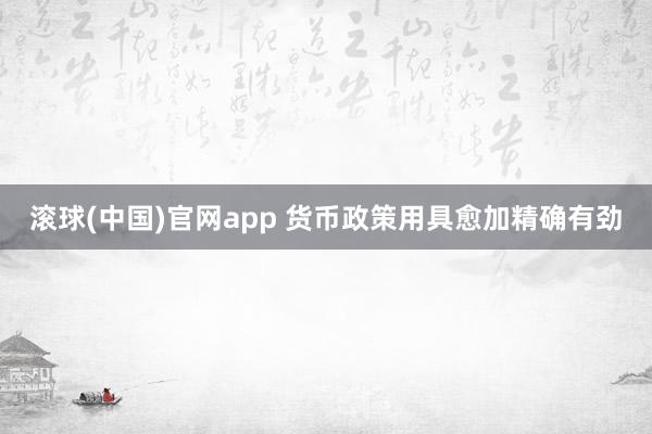 滚球(中国)官网app 货币政策用具愈加精确有劲