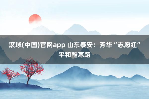 滚球(中国)官网app 山东泰安：芳华“志愿红”平和酷寒路