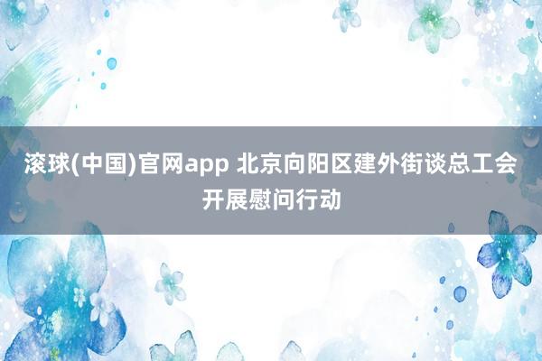 滚球(中国)官网app 北京向阳区建外街谈总工会开展慰问行动