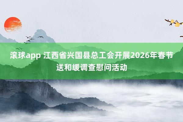滚球app 江西省兴国县总工会开展2026年春节送和缓调查慰问活动