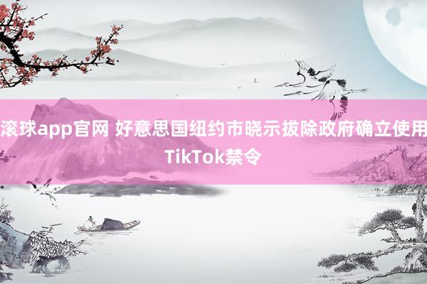 滚球app官网 好意思国纽约市晓示拔除政府确立使用TikTok禁令