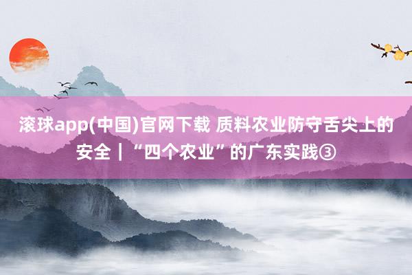 滚球app(中国)官网下载 质料农业防守舌尖上的安全｜“四个农业”的广东实践③