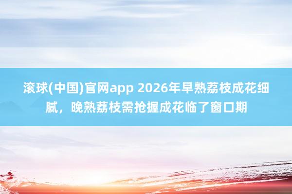 滚球(中国)官网app 2026年早熟荔枝成花细腻，晚熟荔枝需抢握成花临了窗口期