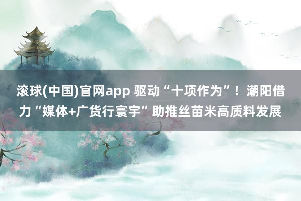滚球(中国)官网app 驱动“十项作为”！潮阳借力“媒体+广货行寰宇”助推丝苗米高质料发展