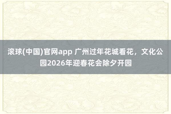 滚球(中国)官网app 广州过年花城看花，文化公园2026年迎春花会除夕开园