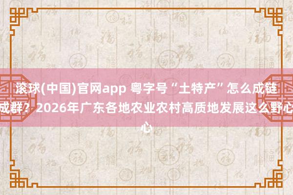 滚球(中国)官网app 粤字号“土特产”怎么成链成群？2026年广东各地农业农村高质地发展这么野心