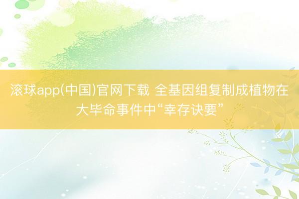 滚球app(中国)官网下载 全基因组复制成植物在大毕命事件中“幸存诀要”