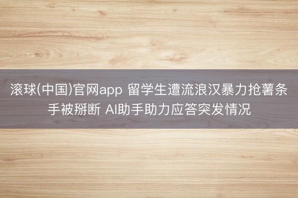 滚球(中国)官网app 留学生遭流浪汉暴力抢薯条手被掰断 AI助手助力应答突发情况