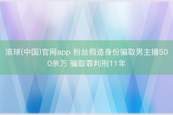 滚球(中国)官网app 粉丝假造身份骗取男主播500余万 骗取罪判刑11年